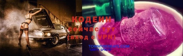 ECSTASY Козловка